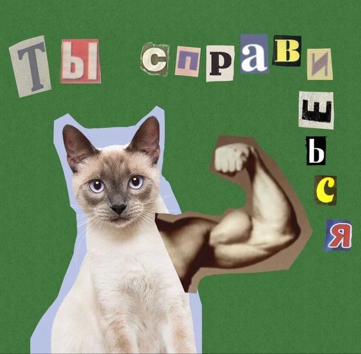 Котик с накачанной рукой и надписью «Ты справишься»